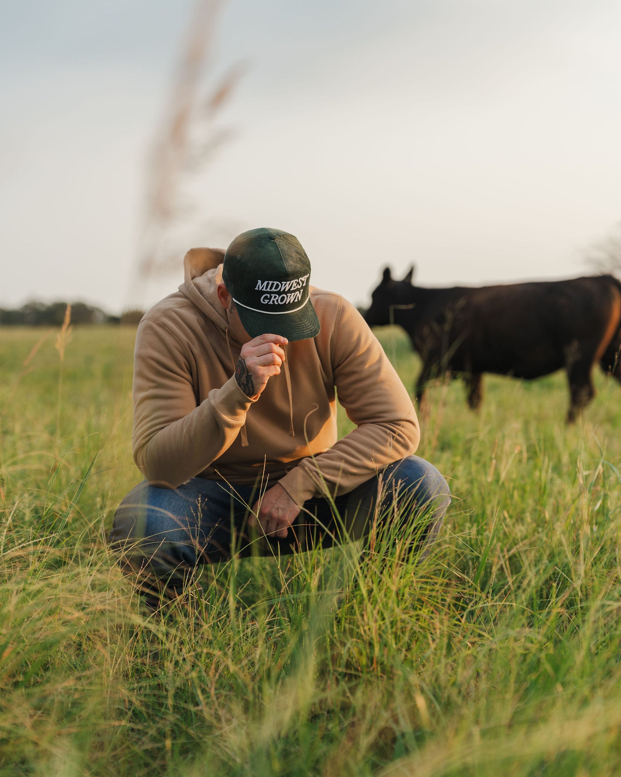 Man in a field with cows wearing a 'Midwest Grown' cap.